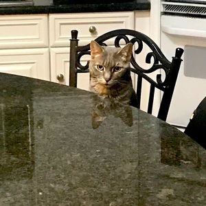 Meet your Posher, Nikki